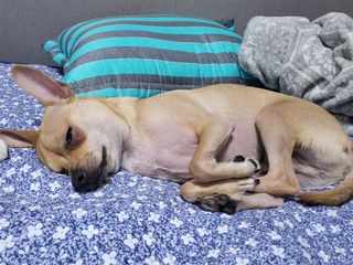 백병기 님의 파 · 자유게시판 작성글 사진