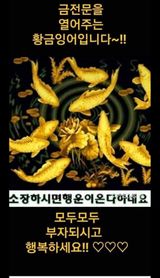 팜모닝 파·자유게시판 게시글 이미지