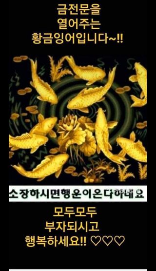 백병기 님의 파 · 자유게시판 작성글 사진