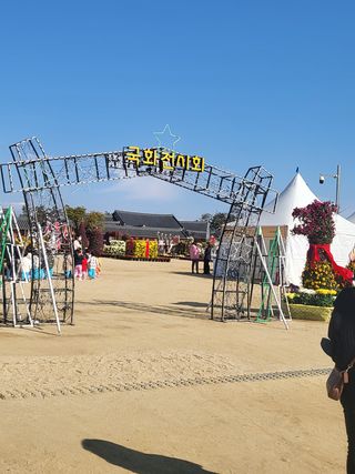 짱순이연속8월출석왕님의 호박 · 자유게시판 작성글 사진