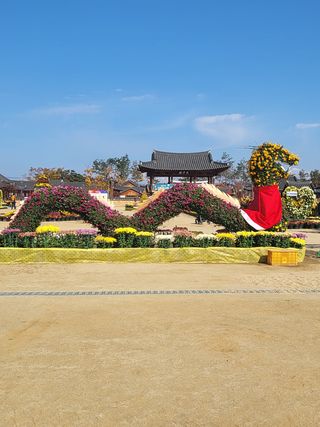 짱순이연속8월출석왕님의 호박 · 자유게시판 작성글 사진