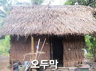 吳宇夏 오솔길오두막님의 고구마 · 자유게시판 작성글 사진