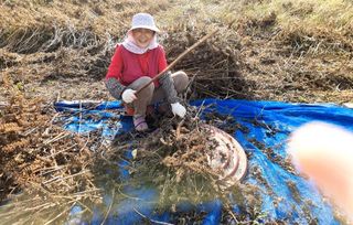 밝은숲님의 사과 · 일상 작성글 사진