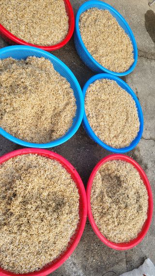 유춘자님의 토마토 · 일상 작성글 사진