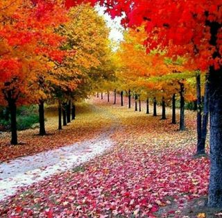 한국인님의 포도 · 자유게시판 작성글 사진