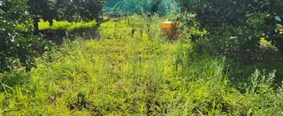 문도연님의 작성글 사진