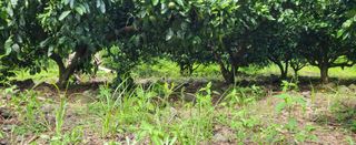 문도연님의 작성글 사진