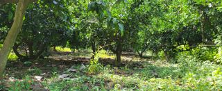 문도연님의 작성글 사진