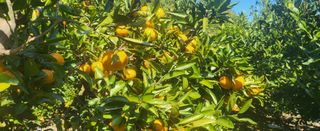 문도연님의 작성글 사진