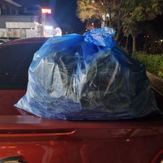 모두팜님의 블루베리 · 자유게시판 작성글 사진