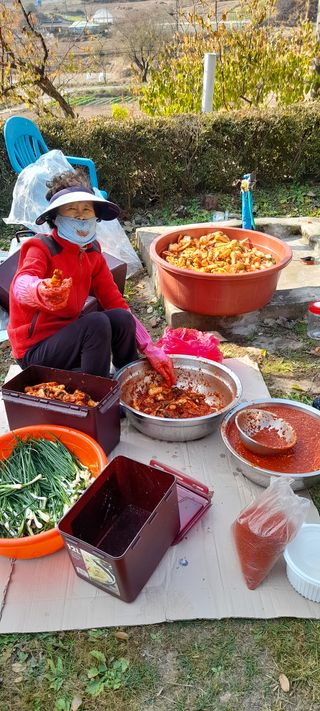 吳宇夏 오솔길오두막님의 포도 · 자유게시판 작성글 사진