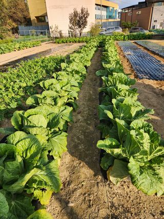 HYUN님의 배추 · 일상 작성글 사진