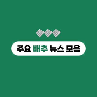 배추 농사도우미님의 배추 · 일상 작성글 사진