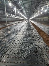 팜모닝 들깨·자유게시판 게시글 이미지