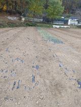 팜모닝 배추·일상 게시글 이미지