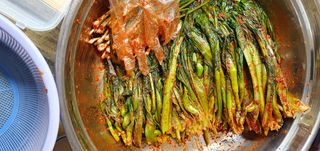 친정집같은언니님의 양배추 · 자유게시판 작성글 사진