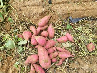 호영님의 작성글 사진