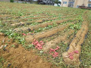 호영님의 작성글 사진