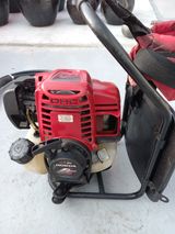 팜모닝 기타작물·자유게시판 게시글 이미지