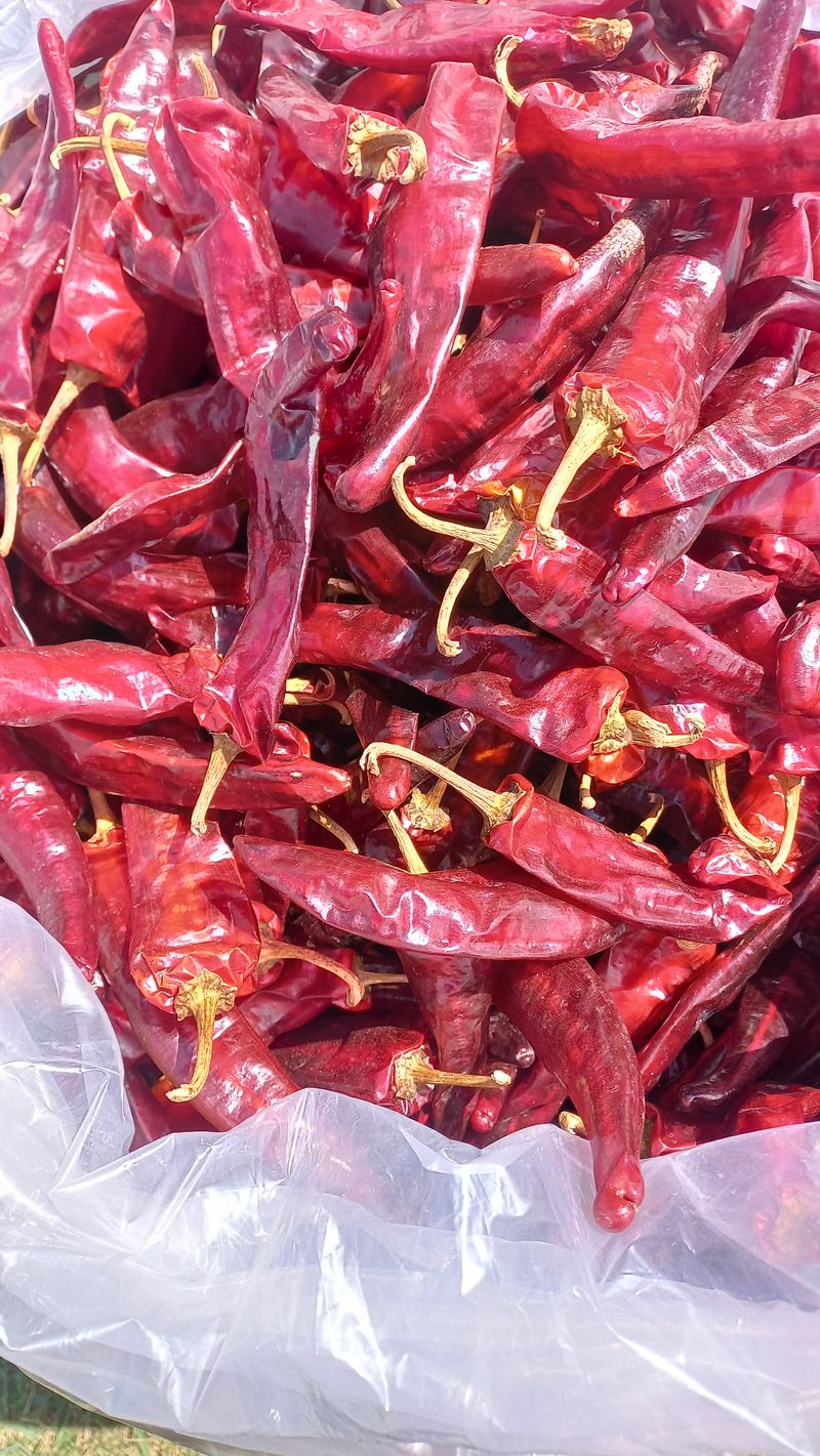 장터 상품 [고추가루 근에14000원 열근이상사시면] 썸네일