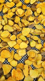 팜모닝 콩·자유게시판 게시글 이미지