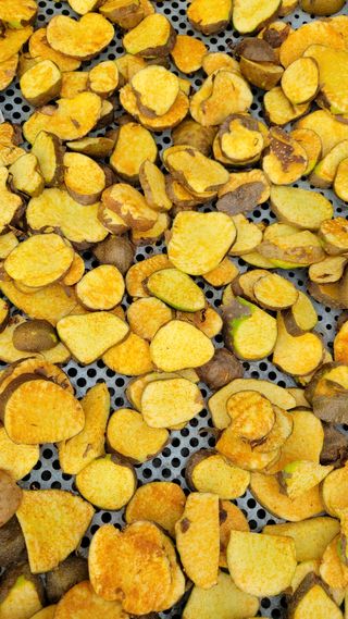 강화댁님의 콩 · 자유게시판 작성글 사진