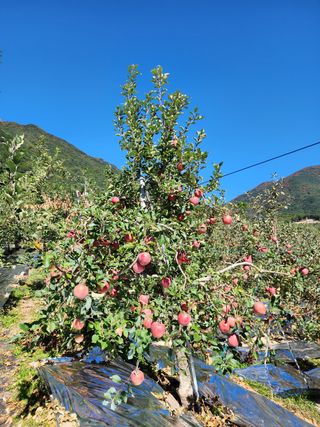 박정수님의 작성글 사진