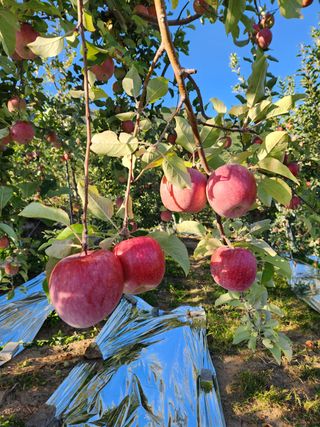 박정수님의 작성글 사진