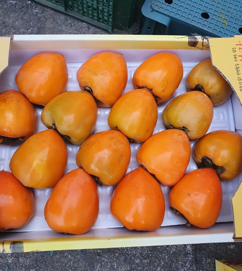 두딸맘님의 장터 판매 상품 [대봉 우린감 5k  23000원] 첨부 사진