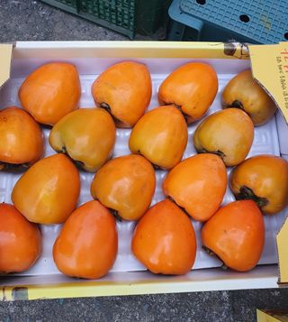 두딸맘님의 작성글 사진