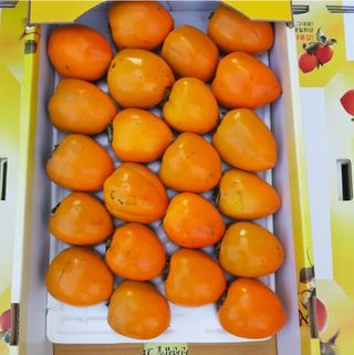 두딸맘님의 작성글 사진