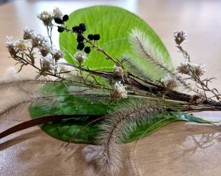 밝은숲님의 복숭아 · 자유게시판 작성글 사진