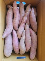 팜모닝 · 게시글 이미지