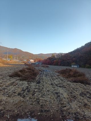이정민님의 작성글 사진