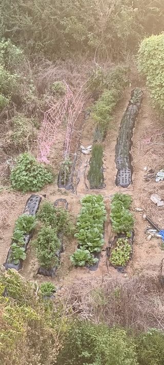 전세현님의 사과 · 일상 작성글 사진