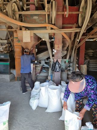 전공쇠님의 매실 · 자유게시판 작성글 사진