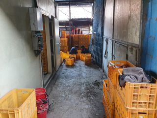 알 수 없음님의 사과 · 일상 작성글 사진