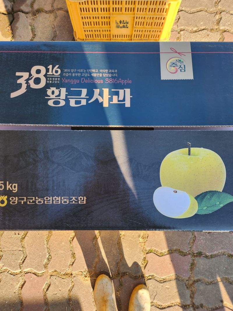 숙이네농장 님의 장터 판매 상품 [시나노골드 (황금 사과) 5k (17~20과)   38.000 원] 첨부 사진