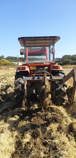 차춘석 님의 기타작물 · 자유게시판 작성글 사진