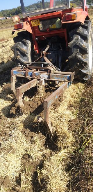 차춘석 님의 기타작물 · 자유게시판 작성글 사진