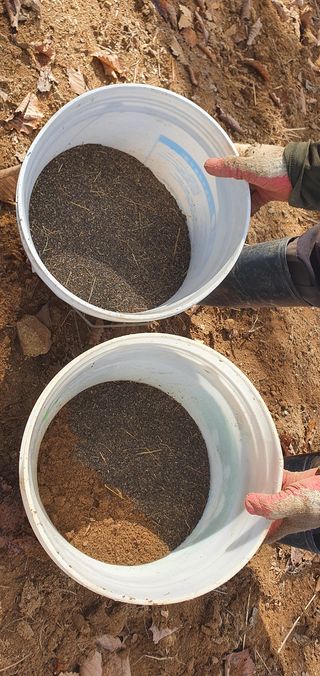 임오빈님의 참깨 · 자유게시판 작성글 사진