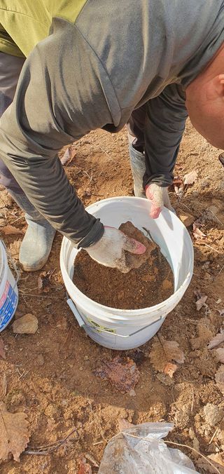 임오빈님의 참깨 · 자유게시판 작성글 사진