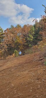 팜모닝 참깨·자유게시판 게시글 이미지