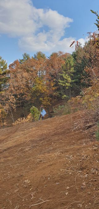 임오빈님의 참깨 · 자유게시판 작성글 사진