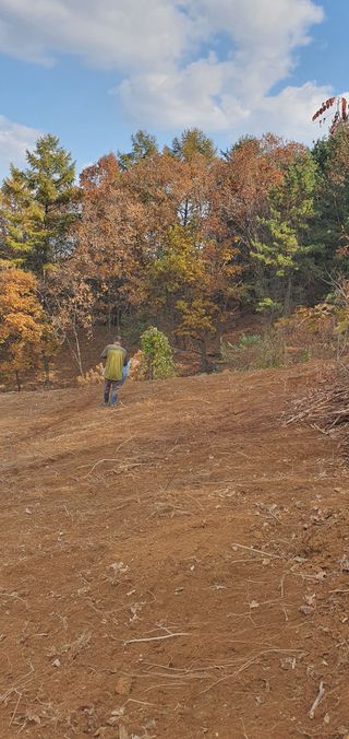 임오빈님의 참깨 · 자유게시판 작성글 사진