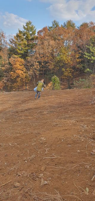 임오빈님의 참깨 · 자유게시판 작성글 사진