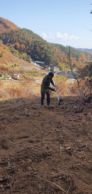임오빈님의 참깨 · 자유게시판 작성글 사진