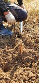 팜모닝 · 게시글 이미지