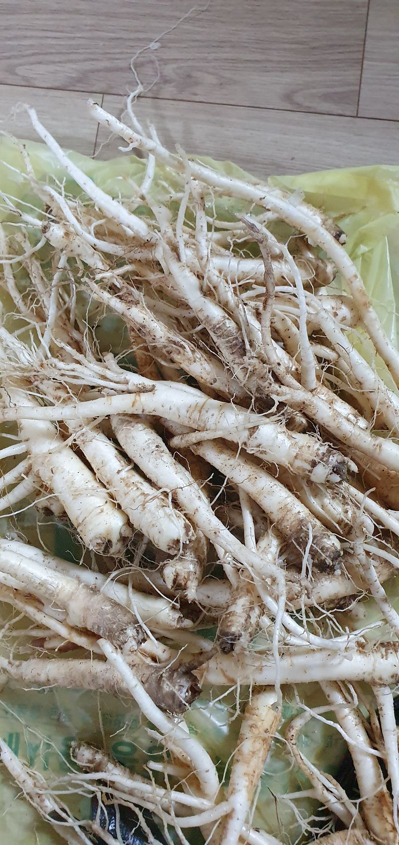 임오빈님의 장터 판매 상품 [4년생 슈퍼도라지 5키로 10만원] 첨부 사진