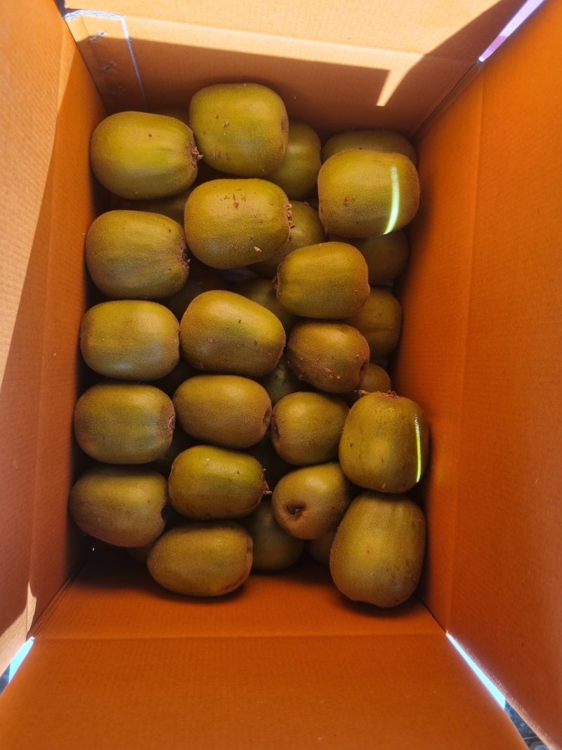 이승철님의 장터 판매 상품 [레드키위 3kg(24과수내외)37,000] 첨부 사진